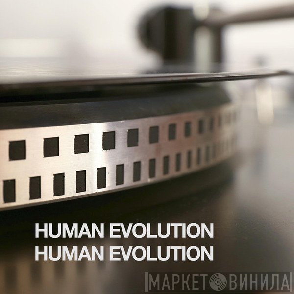 Human Evolution  - Human Evolution