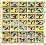 Hummingbird  - Hummingbird