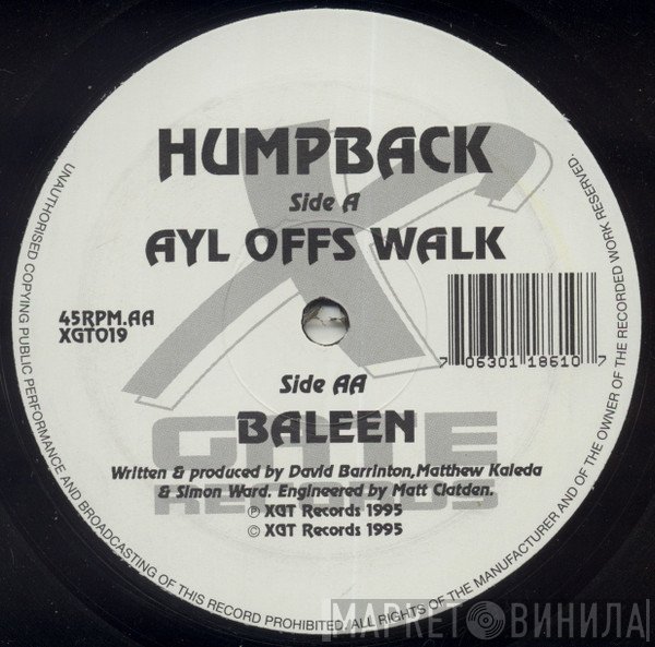 Humpback - Ayl Offs Walk / Baleen