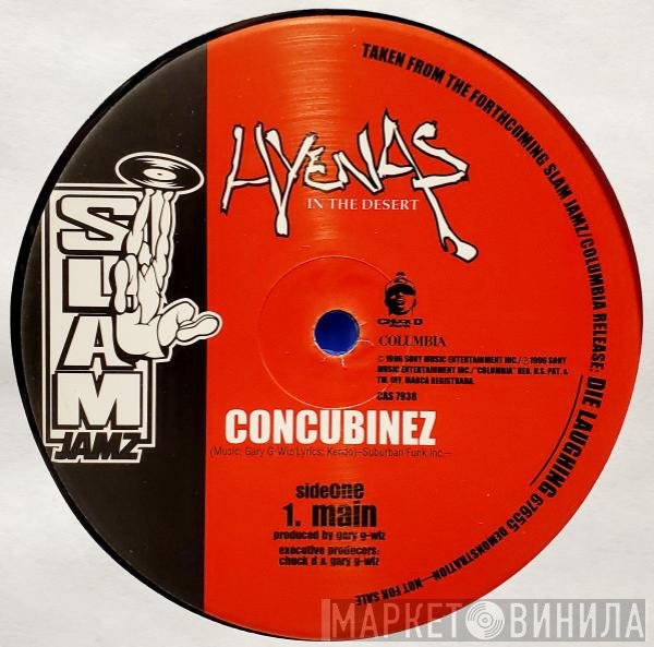Hyenas In The Desert - Concubinez