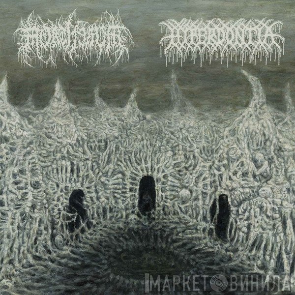 Hyperdontia , Mortiferum - Mortiferum / Hyperdontia