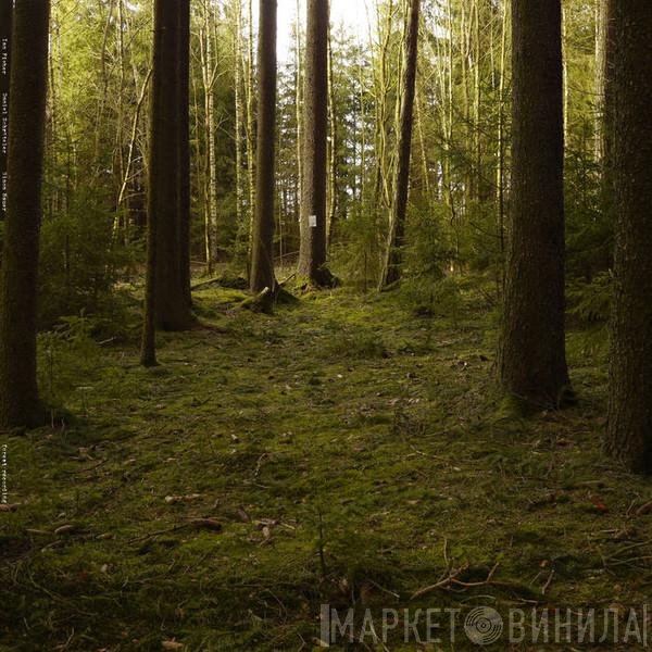 Ian Fisher  - Forest Recording