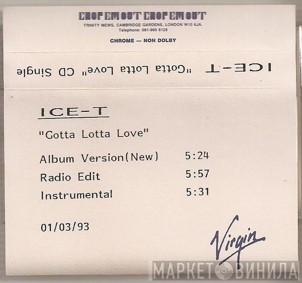 Ice-T - Gotta Lotta Love