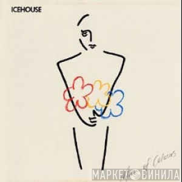 Icehouse  - Man Of Colours