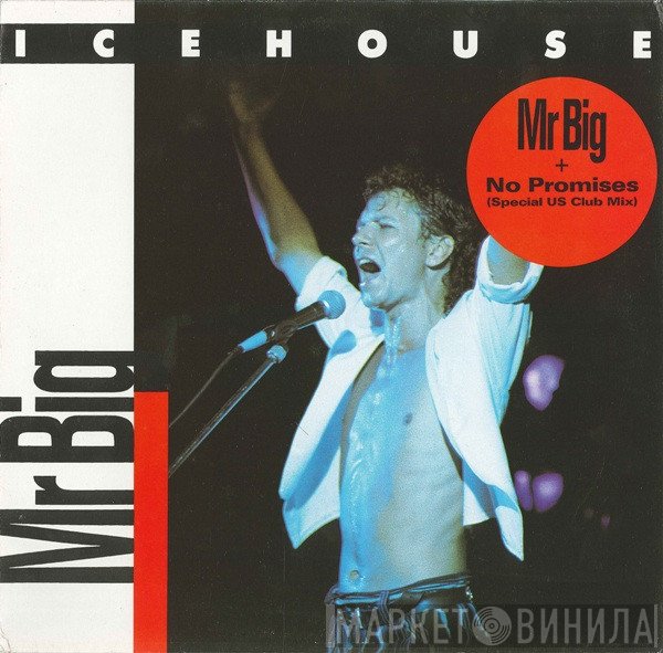 Icehouse  - Mr Big
