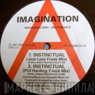 Imagination - Instinctual