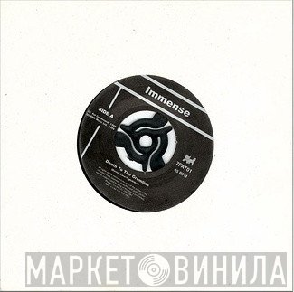 Immense - Death To The Gremlins