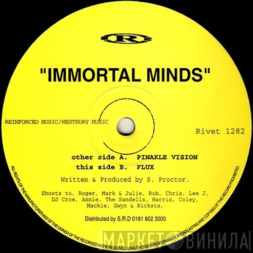Immortal Minds - Pinakle Vision / Flux