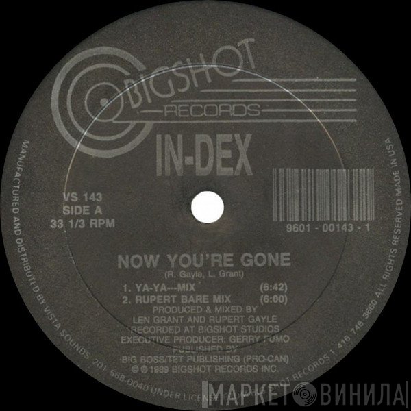 In-Dex - Now You're Gone