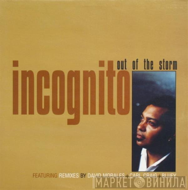 Incognito - Out Of The Storm
