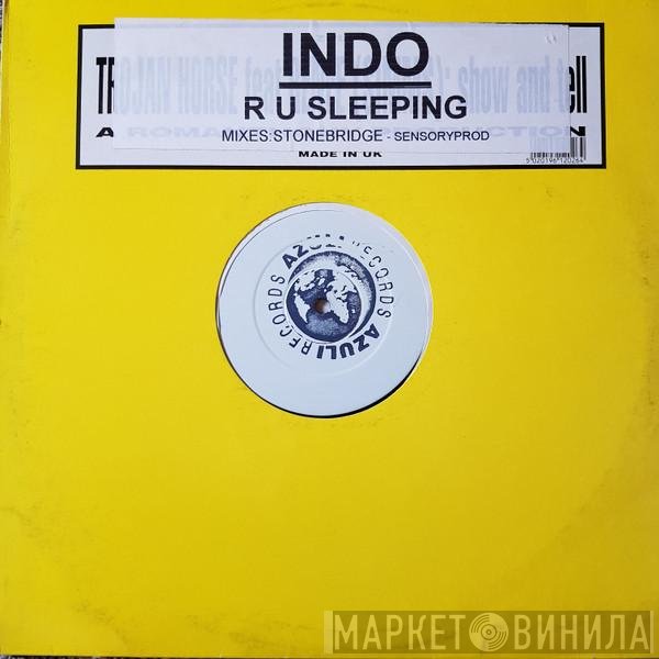Indo  - R U Sleeping (Remixes)