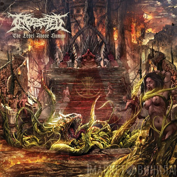 Ingested  - The Level Above Human