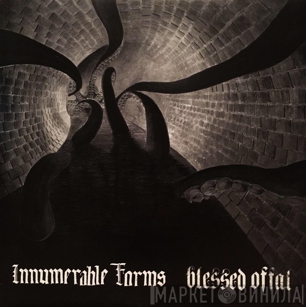 Innumerable Forms / Blessed Offal  - Innumerable Forms / Blessed Offal