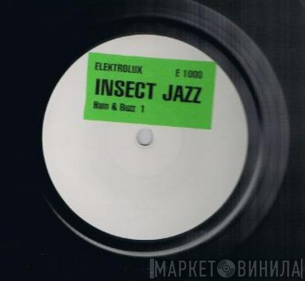 Insect Jazz  - Hum & Buzz