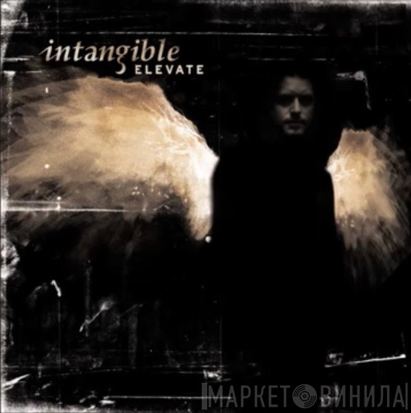 Intangible   - Elevate