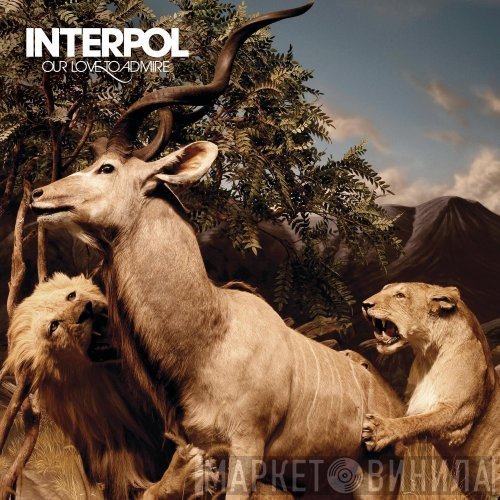 Interpol  - Our Love To Admire