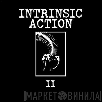 Intrinsic Action  - II