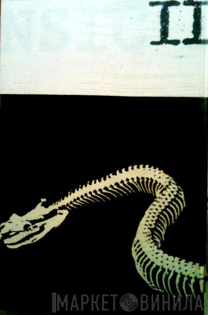 Intrinsic Action  - II
