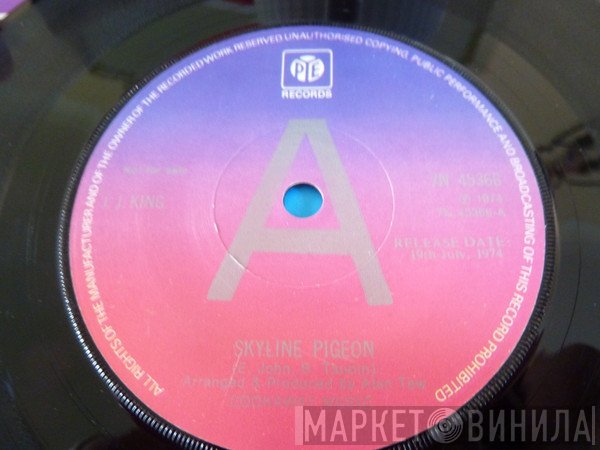 J.J. King - Skyline Pigeon