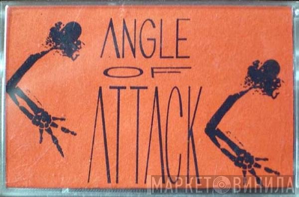 Jack Endino  - Angle Of Attack