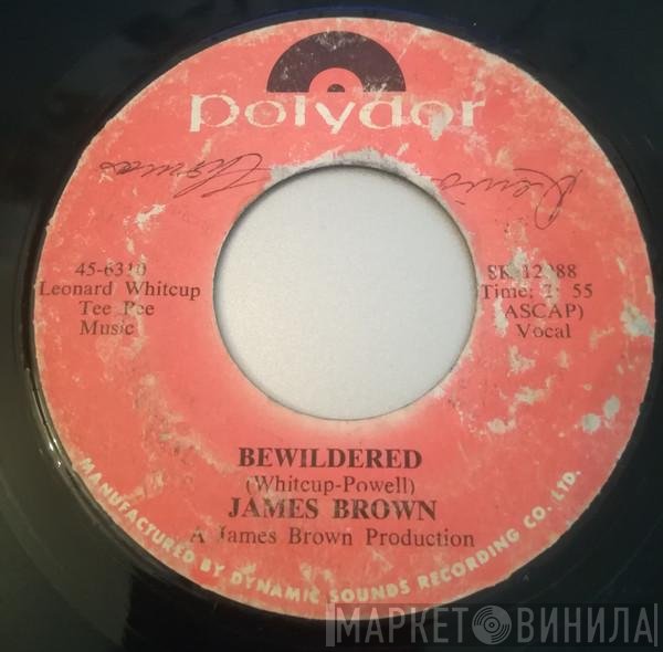 James Brown  - Brother Rapp (Part 1 & 2)
