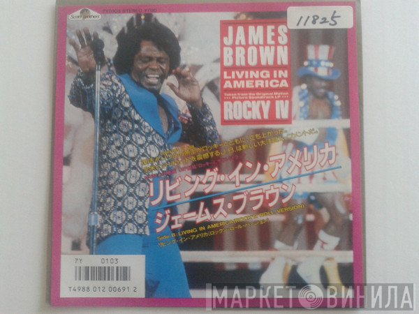 James Brown  - Living In America