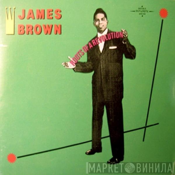 James Brown  - Roots Of A Revolution