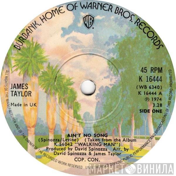 James Taylor  - Ain't No Song