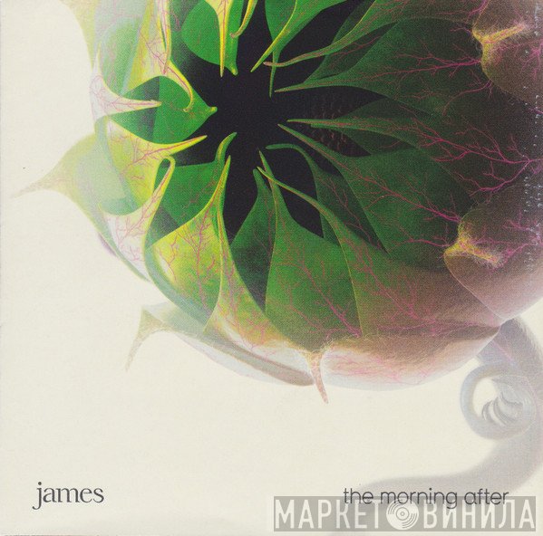 James  - The Morning After