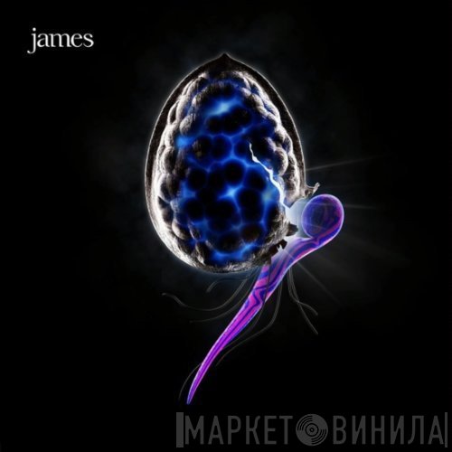 James  - The Night Before