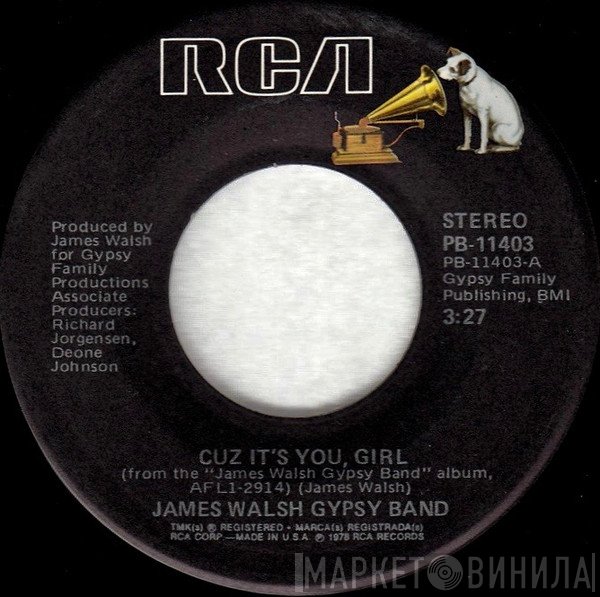 James Walsh Gypsy Band - Cuz It's You, Girl