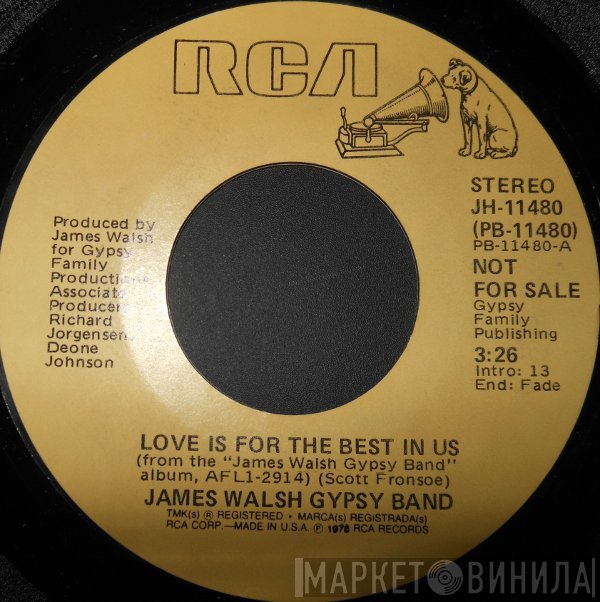 James Walsh Gypsy Band  - Love Is For The Best In Us