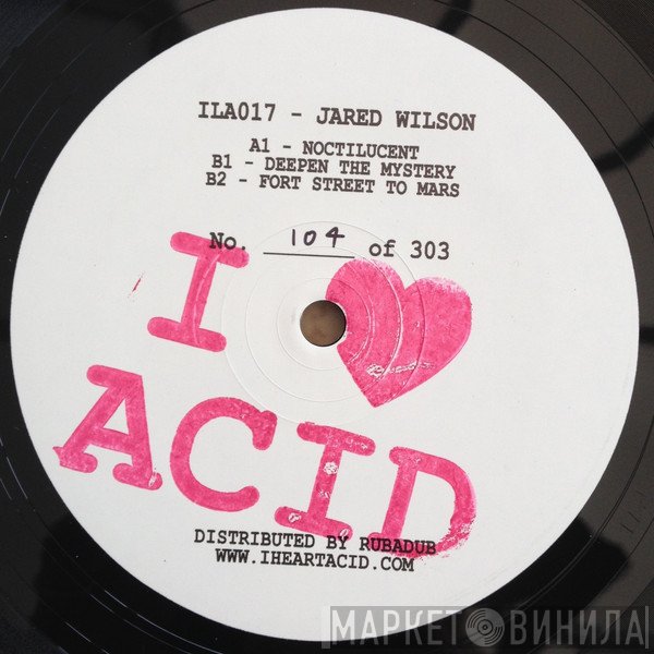 Jared Wilson - I Love Acid 017