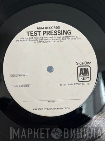 Jean Terrell  - I Had To Fall In Love