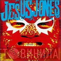 Jesus Jones  - Perverse