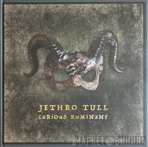 Jethro Tull  - Curious Ruminant