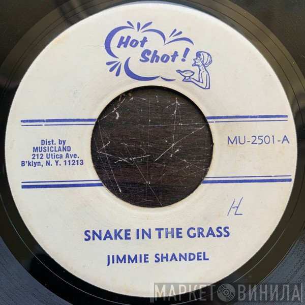 Jimmie Shandel - Snake In The Grass