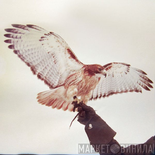 Jm Airis - Wild Birds