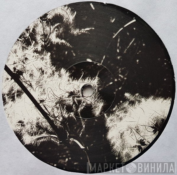 Joachim Spieth  - Irradiance Reworked