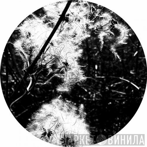 Joachim Spieth  - Irradiance Reworked