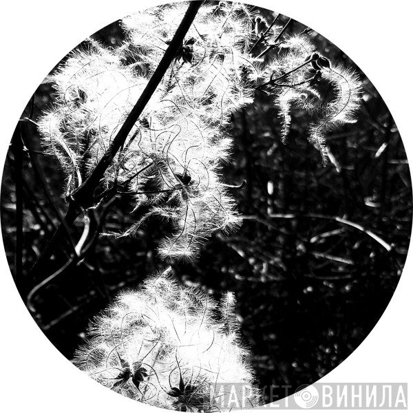 Joachim Spieth  - Irradiance Reworked