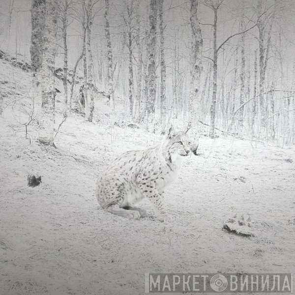 Joanna John, Burkhard Stangl  - Lynx