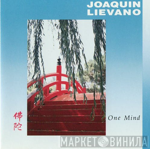 Joaquin Liévano - One Mind