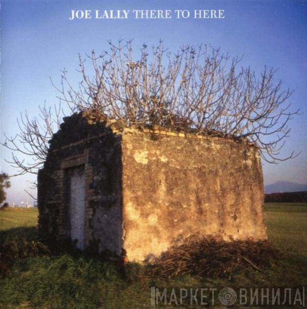 Joe Lally  - There To Here