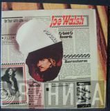Joe Walsh  - Pop Gold