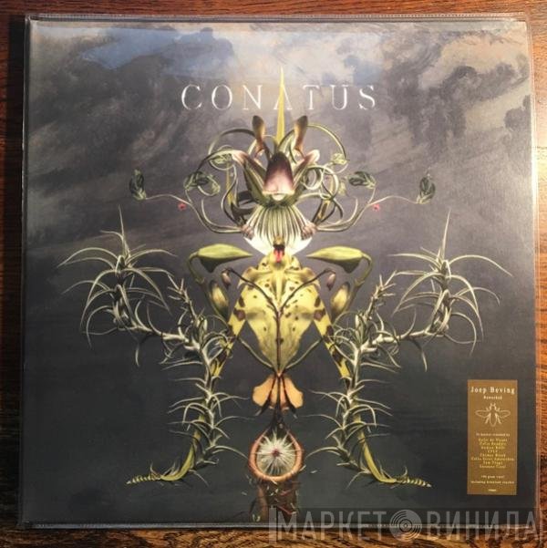 Joep Beving - Conatus