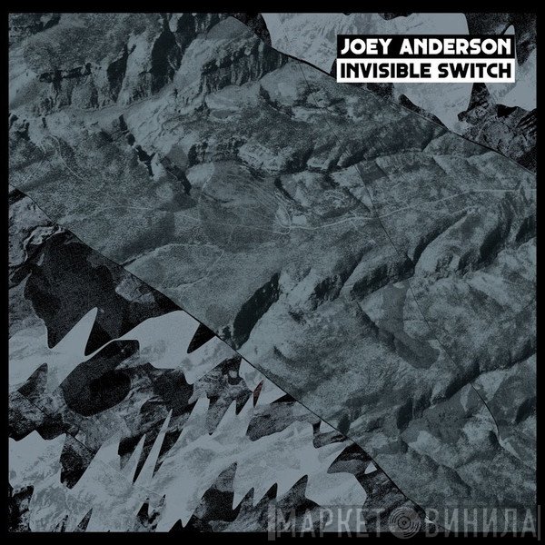 Joey Anderson  - Invisible Switch