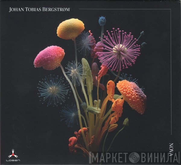 Johan Tobias Bergstrøm - Nova
