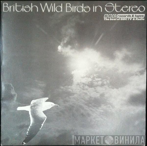 John F. Burton, David Tombs - British Wild Birds In Stereo