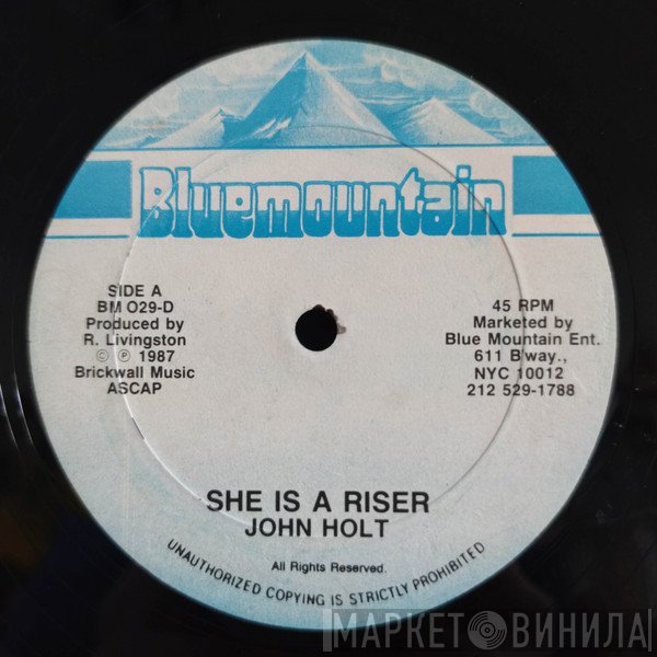 John Holt  - She Is A Riser